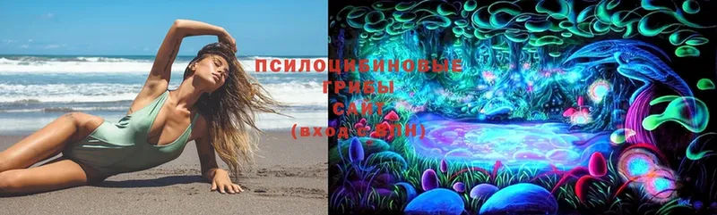 Галлюциногенные грибы Cubensis Камышлов